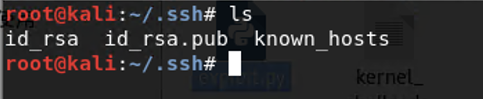 image-20200606180419167