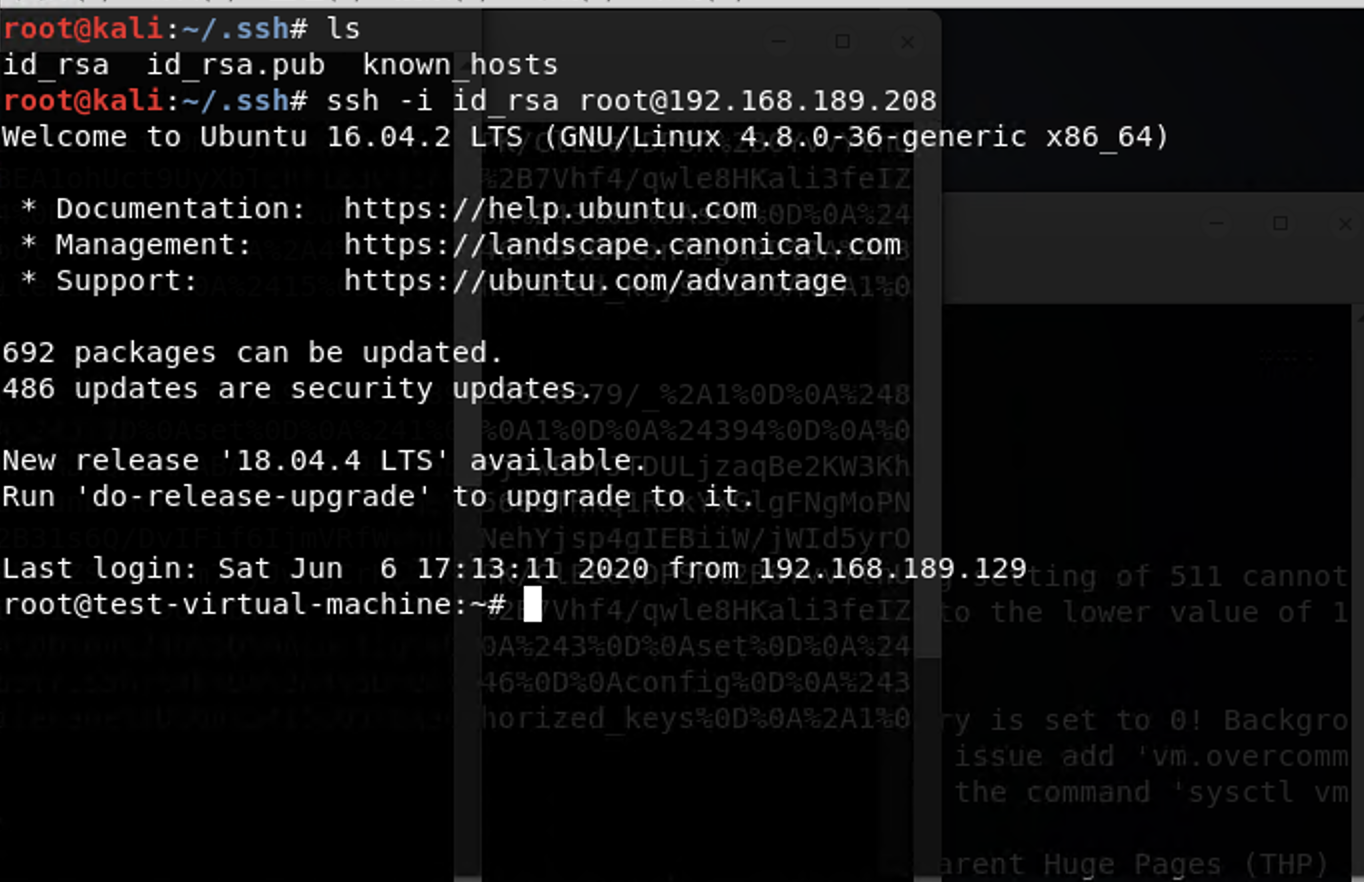 image-20200606181125391